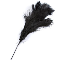Black Ostrich Feather Spray