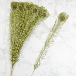 Green Glitter Peacock Feathers
