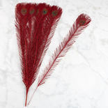 Red Glitter Peacock Feathers
