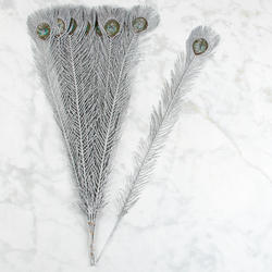 Silver Glitter Peacock Feathers