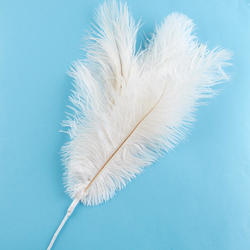 White Ostrich Feather Spray