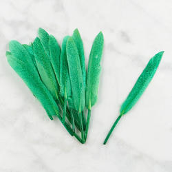 Green Glitter Quill Feathers