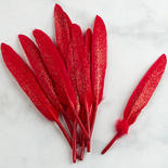 Red Glitter Quill Feathers