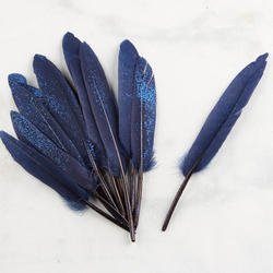 Blue Glitter Quill Feathers