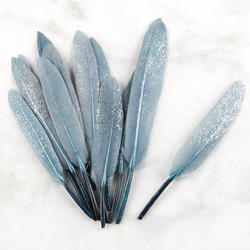 Silver Glitter Quill Feathers