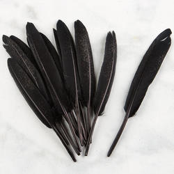 Black Glitter Quill Feathers