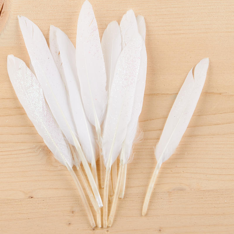 White Glitter Quill Feathers - Feathers - Basic Craft Supplies - Craft ...