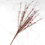 Red Twig Spray with Pip Berries