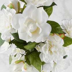 White Gardenia & Stephanotis Bush