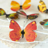Assorted Artificial Butterflies