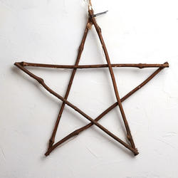 Battery Operated Light Up Twig Star