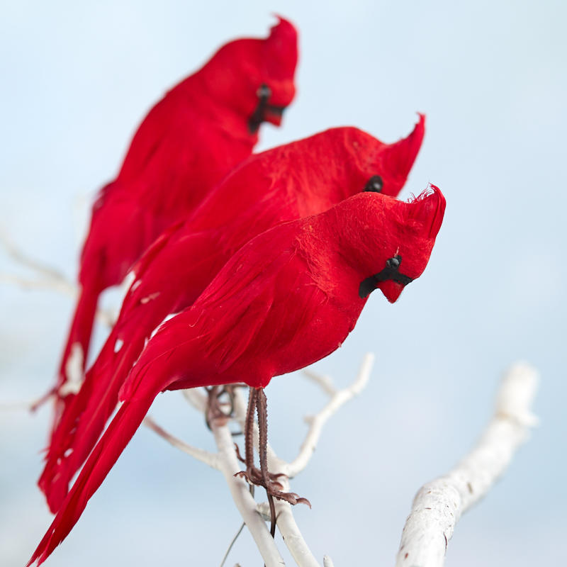 Red Artificial Cardinals - Birds & Butterflies - Basic Craft Supplies ...