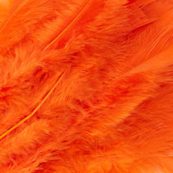 Orange Natural Loose Turkey Feathers