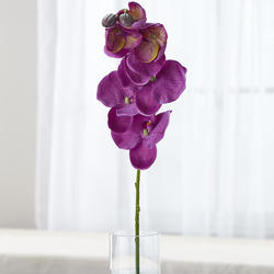 Purple Artificial Moth Orchid Spray