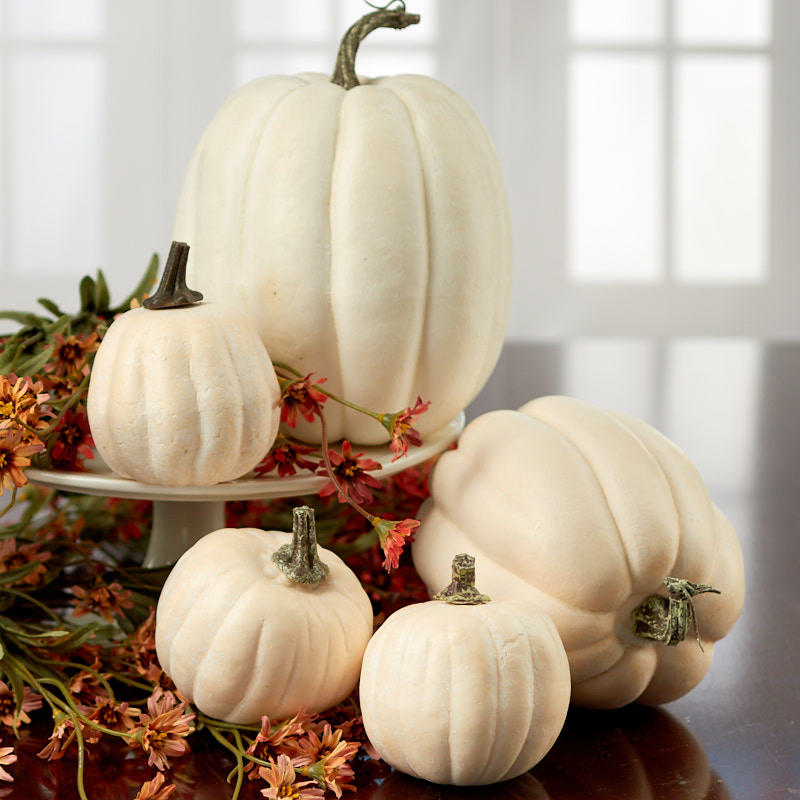 Assorted Harvest White Artificial Pumpkins - Pumpkins - Fall and