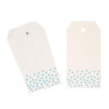 White with Light Blue Polka Dots Gift Tags
