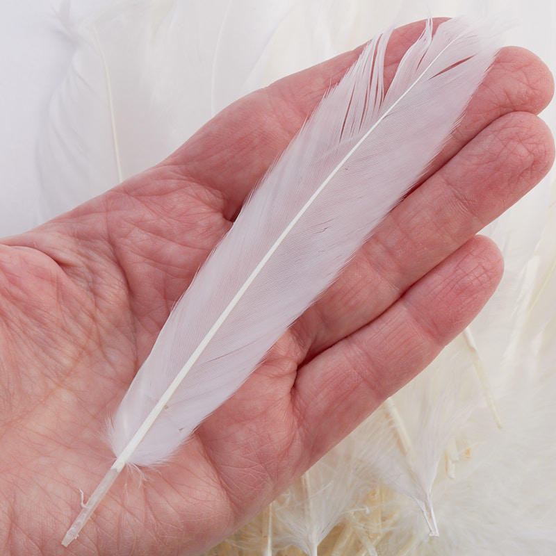 White Goose Craft Feathers - Feathers - Basic Craft Supplies - Craft