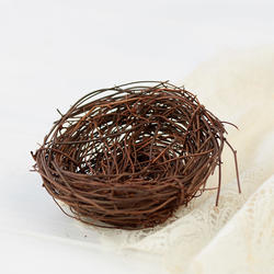 Artificial Bird's Nest