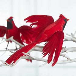Flying Artificial Cardinals