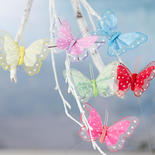 Assorted Polka Dot Nylon Butterflies