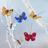 Assorted Feathered Artificial Glitter Butterflies
