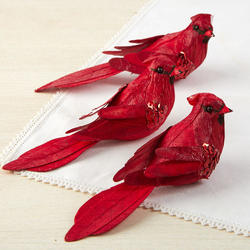 Faux Cardinals