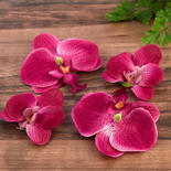 Beauty Pink Floating Artificial Moth Orchid Blooms