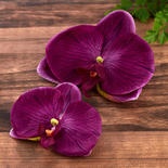 Purple Floating Artificial Moth Orchid Blooms