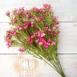 Pink Artificial Wax Flower Bush