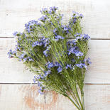 Blue Artificial Wax Flower Bush