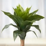 Artificial Aloe Plant
