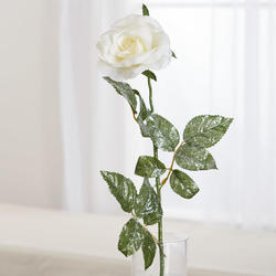 Frosted Cream Artificial Rose Stem