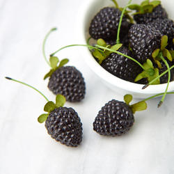 Realistic Artificial Blackberries