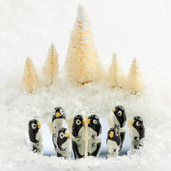 Winter Wonderland Penguin Scenery - DIY Kit