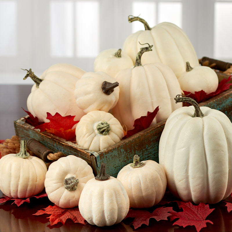 Assorted Harvest White Artificial Pumpkins - Fall and Halloween
