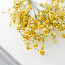 Yellow Artificial Baby's Breath Stem