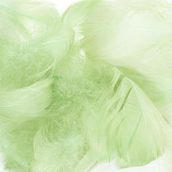 Light Green Natural Loose Goose Feathers