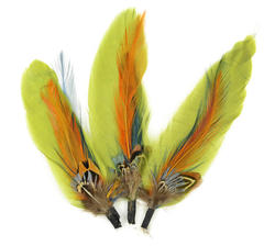 Olive Green and Sienna Natural Feather Picks
