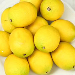 Bulk Case of 960 Artificial Lemons