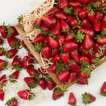 Bulk Case of 2880 Artificial Strawberries