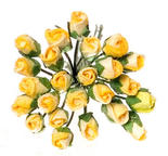 Miniature Half Bloom Yellow Rose Stems