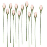 Miniature Pink Rosebud Stems