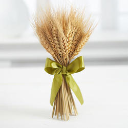 Natural Dried Wheat Bundle with Ribbon