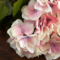 Faux Cream Pink Hydrangea Silk Flower Bush