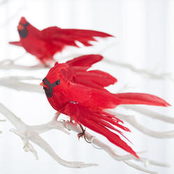 Flying Artificial Cardinals
