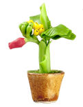 Dollhouse Miniature Banana Plant