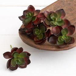 Artificial Hen and Chick Succulent Picks