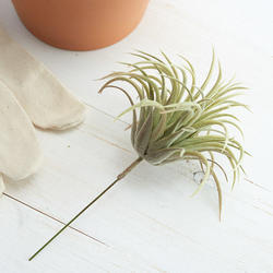 Faux Easter Grass Air Plant Pick