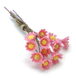 Miniature Pink Daisy Stems