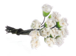 Miniature White Mini Carnation Stems